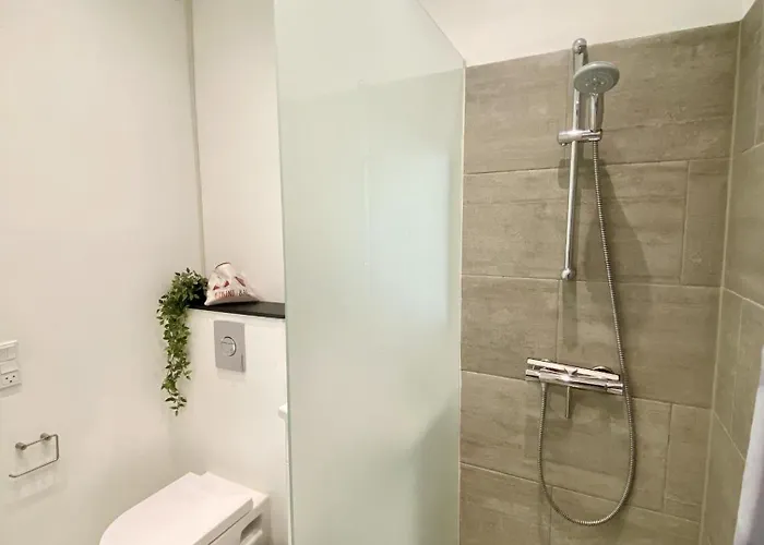 Cozy Apartamento