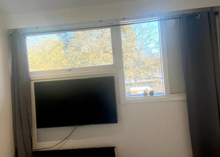 Cozy Apartamento
